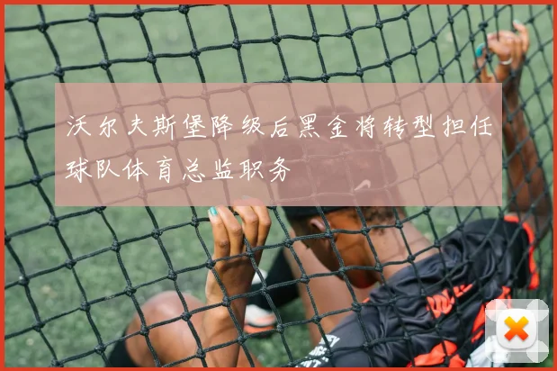 沃尔夫斯堡降级后黑金将转型担任球队体育总监职务