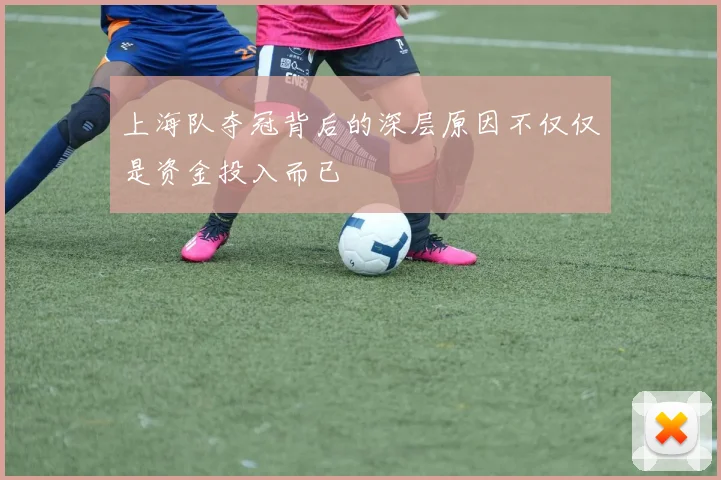 上海队夺冠背后的深层原因不仅仅是资金投入而已