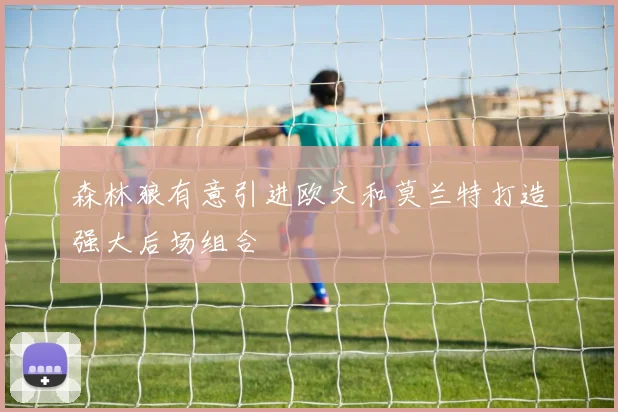 森林狼有意引进欧文和莫兰特打造强大后场组合
